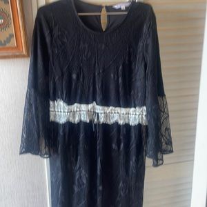 Brand New Never Worn Gorgeous DownEast Lace Dress